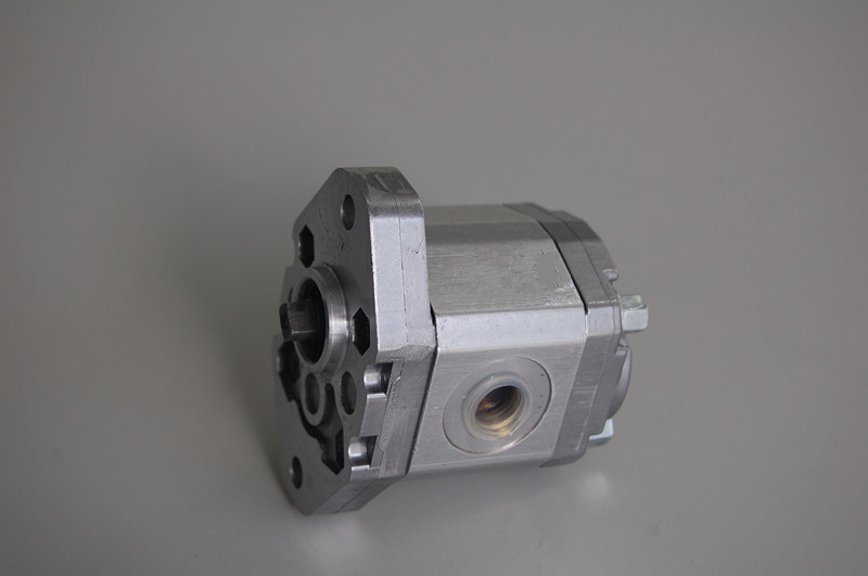 Pompes à engrenages hydrauliques de Marzocchi BHP2B0-D-8 pour R/min de la vitesse 500 - 3500