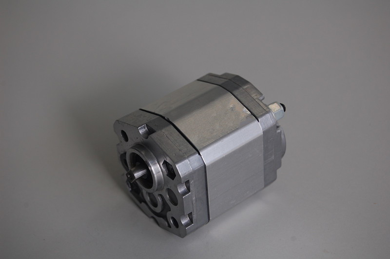 Pompes à engrenages hydrauliques industrielles de Marzocchi BHP2B0-D-12 pour 500 - 3000 r/min